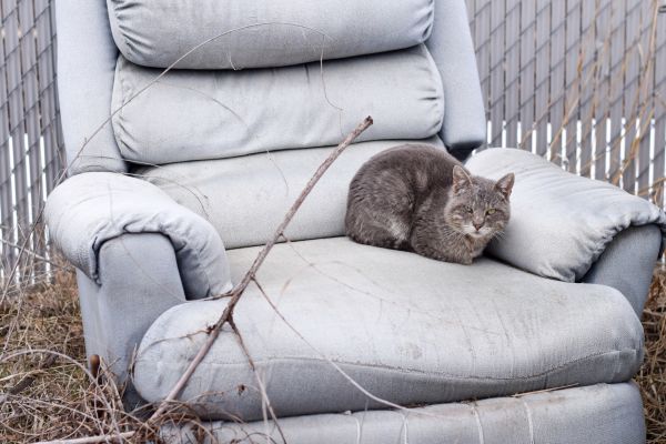 Recliner Disposal in Oshkosh